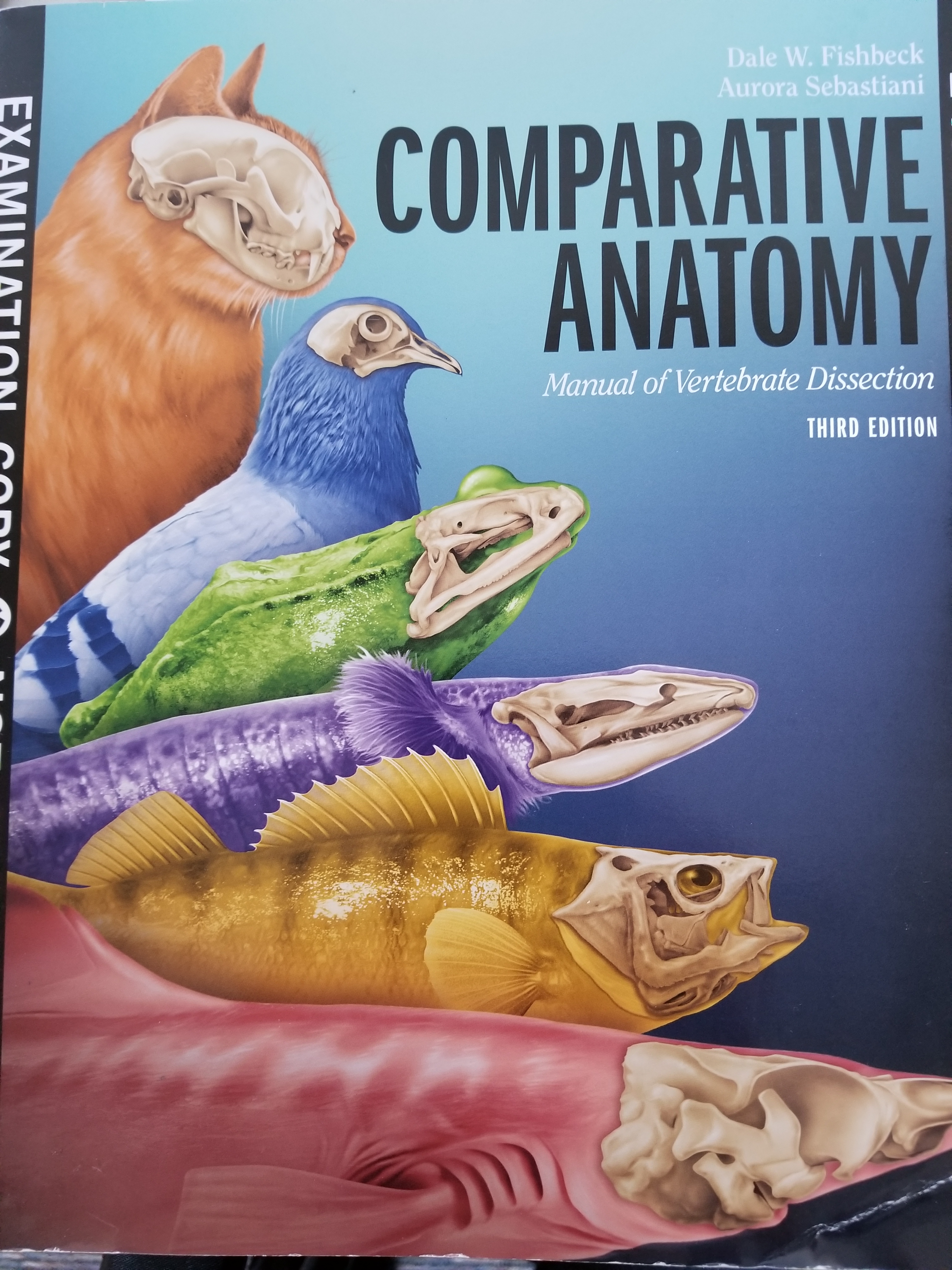 Laboratory Objectives for Comparative Vertebrate Anatomy Spring 2023