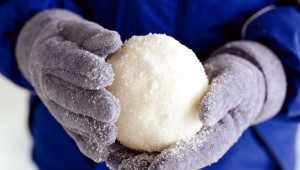 picture of a snowball
